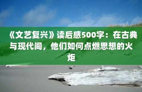 《文艺复兴》读后感500字：在古典与现代间，他们如何点燃思想的火炬