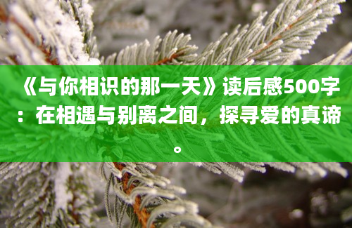 《与你相识的那一天》读后感500字：在相遇与别离之间，探寻爱的真谛。