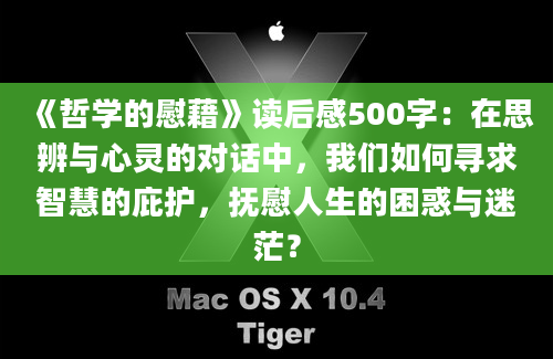 《哲学的慰藉》读后感500字：在思辨与心灵的对话中，我们如何寻求智慧的庇护，抚慰人生的困惑与迷茫？