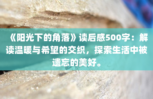 《阳光下的角落》读后感500字：解读温暖与希望的交织，探索生活中被遗忘的美好。