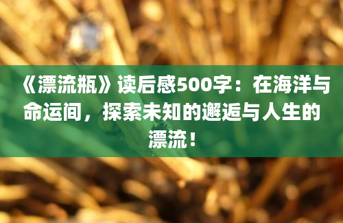 《漂流瓶》读后感500字：在海洋与命运间，探索未知的邂逅与人生的漂流！