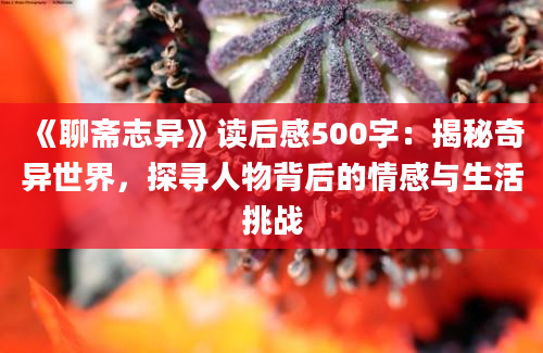 《聊斋志异》读后感500字：揭秘奇异世界，探寻人物背后的情感与生活挑战