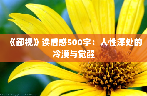 《鄙视》读后感500字：人性深处的冷漠与觉醒