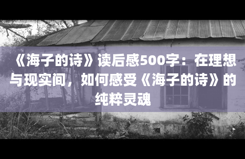 《海子的诗》读后感500字：在理想与现实间，如何感受《海子的诗》的纯粹灵魂