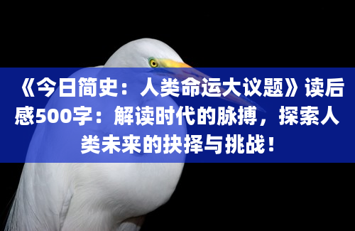 《今日简史：人类命运大议题》读后感500字：解读时代的脉搏，探索人类未来的抉择与挑战！