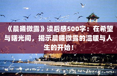 《晨曦微露》读后感500字：在希望与曙光间，揭示晨曦微露的温暖与人生的开始！