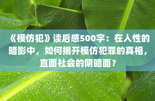 《模仿犯》读后感500字：在人性的暗影中，如何揭开模仿犯罪的真相，直面社会的阴暗面？