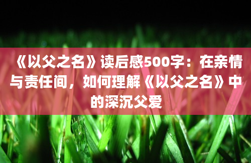 《以父之名》读后感500字：在亲情与责任间，如何理解《以父之名》中的深沉父爱