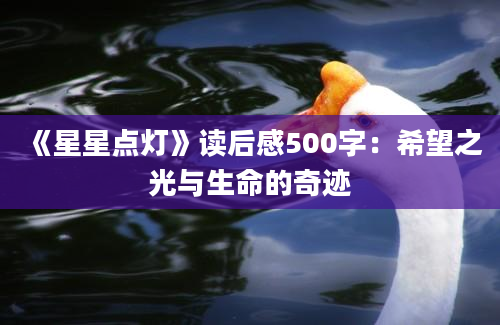 《星星点灯》读后感500字：希望之光与生命的奇迹