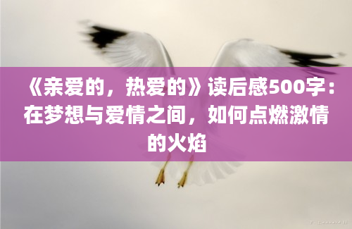 《亲爱的，热爱的》读后感500字：在梦想与爱情之间，如何点燃激情的火焰