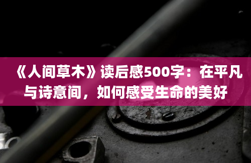 《人间草木》读后感500字：在平凡与诗意间，如何感受生命的美好