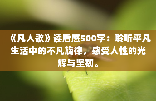 《凡人歌》读后感500字：聆听平凡生活中的不凡旋律，感受人性的光辉与坚韧。