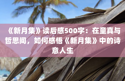 《新月集》读后感500字：在童真与哲思间，如何感悟《新月集》中的诗意人生