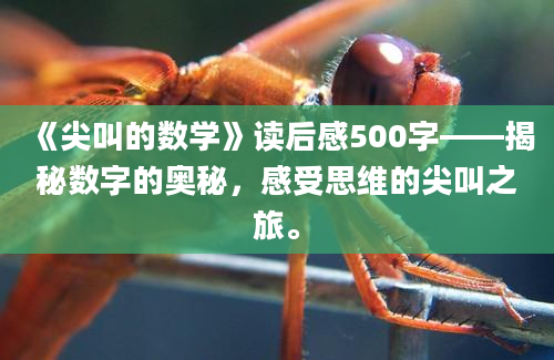 《尖叫的数学》读后感500字——揭秘数字的奥秘，感受思维的尖叫之旅。