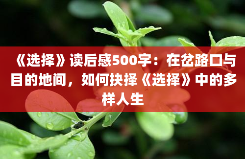 《选择》读后感500字：在岔路口与目的地间，如何抉择《选择》中的多样人生