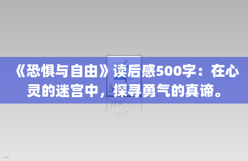 《恐惧与自由》读后感500字：在心灵的迷宫中，探寻勇气的真谛。