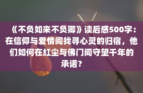 《不负如来不负卿》读后感500字：在信仰与爱情间找寻心灵的归宿，他们如何在红尘与佛门间守望千年的承诺？