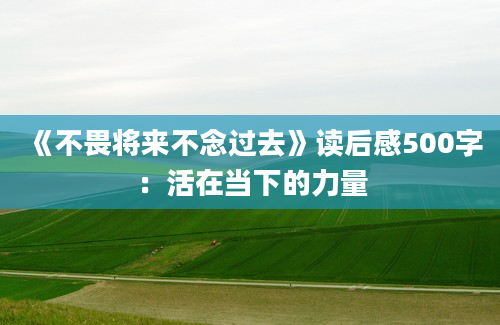 《不畏将来不念过去》读后感500字：活在当下的力量