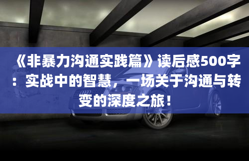 《非暴力沟通实践篇》读后感500字：实战中的智慧，一场关于沟通与转变的深度之旅！