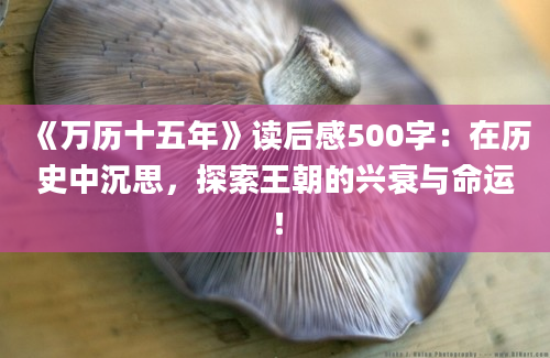 《万历十五年》读后感500字：在历史中沉思，探索王朝的兴衰与命运！