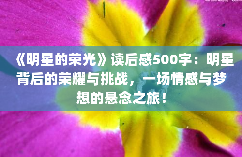 《明星的荣光》读后感500字：明星背后的荣耀与挑战，一场情感与梦想的悬念之旅！