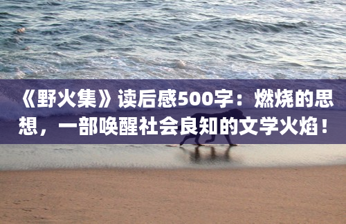 《野火集》读后感500字：燃烧的思想，一部唤醒社会良知的文学火焰！