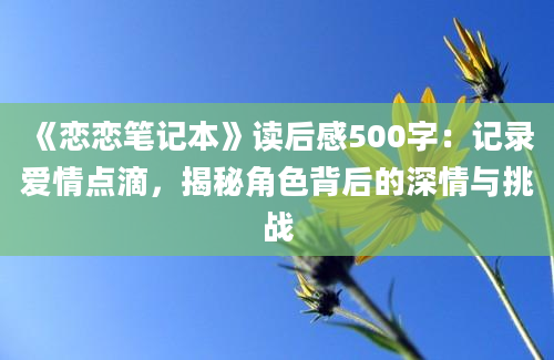 《恋恋笔记本》读后感500字：记录爱情点滴，揭秘角色背后的深情与挑战