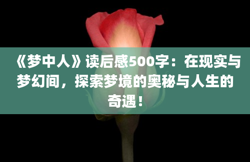 《梦中人》读后感500字：在现实与梦幻间，探索梦境的奥秘与人生的奇遇！