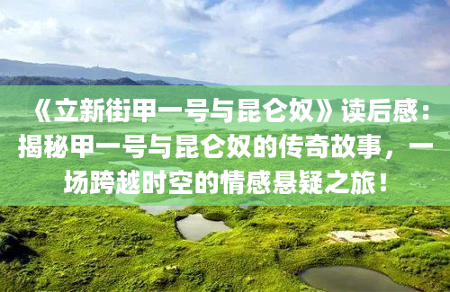 《立新街甲一号与昆仑奴》读后感：揭秘甲一号与昆仑奴的传奇故事，一场跨越时空的情感悬疑之旅！