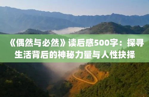 《偶然与必然》读后感500字：探寻生活背后的神秘力量与人性抉择