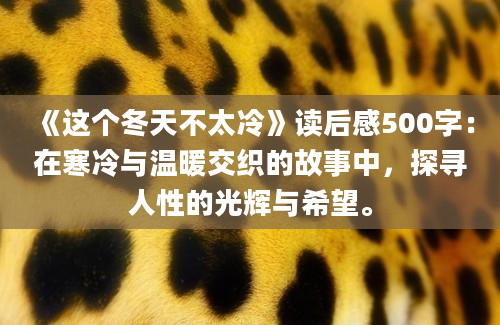 《这个冬天不太冷》读后感500字：在寒冷与温暖交织的故事中，探寻人性的光辉与希望。