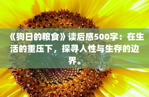 《狗日的粮食》读后感500字：在生活的重压下，探寻人性与生存的边界。