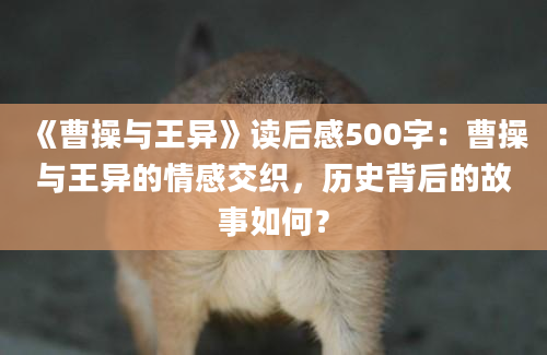 《曹操与王异》读后感500字：曹操与王异的情感交织，历史背后的故事如何？