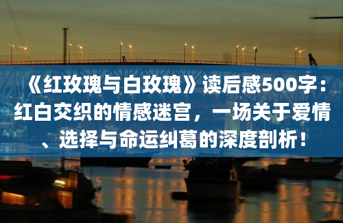 《红玫瑰与白玫瑰》读后感500字：红白交织的情感迷宫，一场关于爱情、选择与命运纠葛的深度剖析！