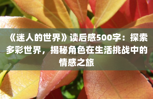 《迷人的世界》读后感500字：探索多彩世界，揭秘角色在生活挑战中的情感之旅