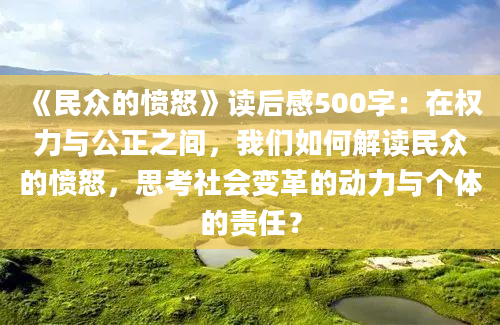 《民众的愤怒》读后感500字：在权力与公正之间，我们如何解读民众的愤怒，思考社会变革的动力与个体的责任？