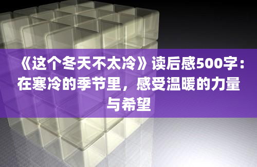 《这个冬天不太冷》读后感500字：在寒冷的季节里，感受温暖的力量与希望