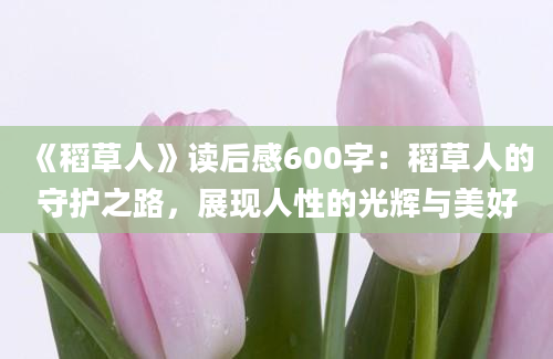 《稻草人》读后感600字：稻草人的守护之路，展现人性的光辉与美好