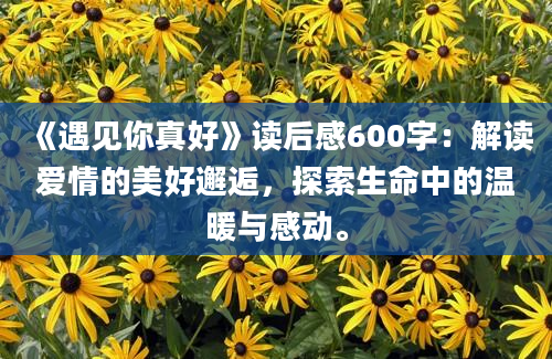 《遇见你真好》<a href=https://www.baixuetang.com target=_blank class=infotextkey>读后感</a>600字：解读爱情的美好邂逅，探索生命中的温暖与感动。