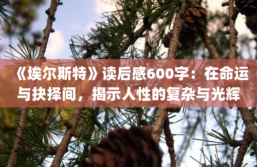 《埃尔斯特》读后感600字：在命运与抉择间，揭示人性的复杂与光辉