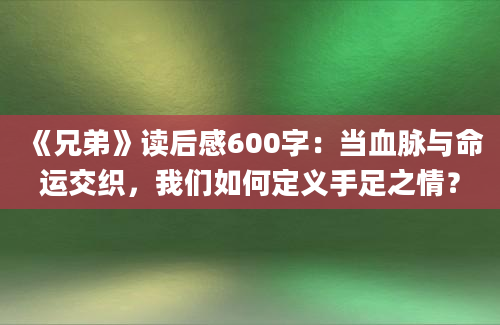 《兄弟》读后感600字：当血脉与命运交织，我们如何定义手足之情？