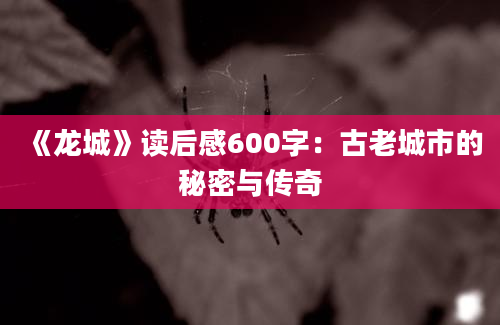 《龙城》读后感600字：古老城市的秘密与传奇