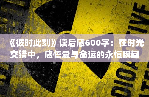 《彼时此刻》读后感600字：在时光交错中，感悟爱与命运的永恒瞬间