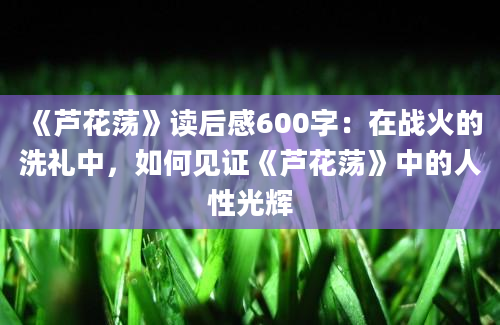 《芦花荡》读后感600字：在战火的洗礼中，如何见证《芦花荡》中的人性光辉