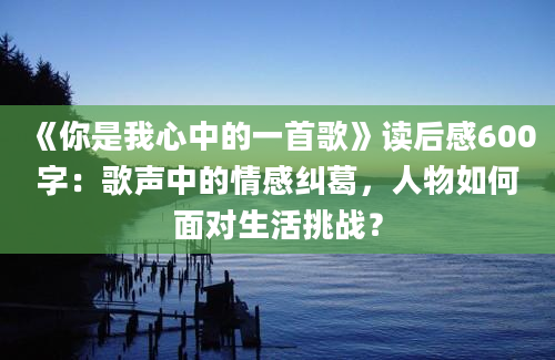 《你是我心中的一首歌》读后感600字：歌声中的情感纠葛，人物如何面对生活挑战？