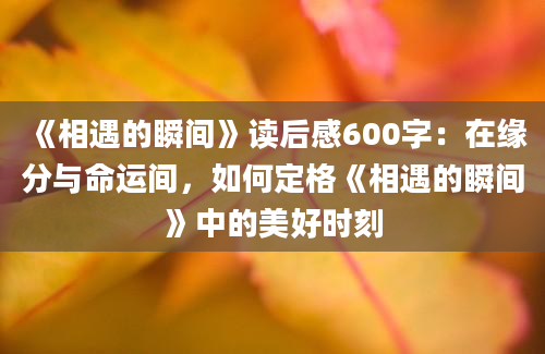 《相遇的瞬间》读后感600字：在缘分与命运间，如何定格《相遇的瞬间》中的美好时刻