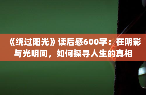 《绕过阳光》读后感600字：在阴影与光明间，如何探寻人生的真相