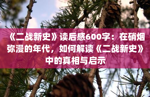 《二战新史》读后感600字：在硝烟弥漫的年代，如何解读《二战新史》中的真相与启示