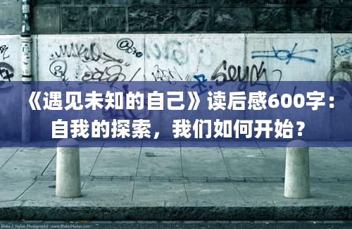 《遇见未知的自己》读后感600字：自我的探索，我们如何开始？