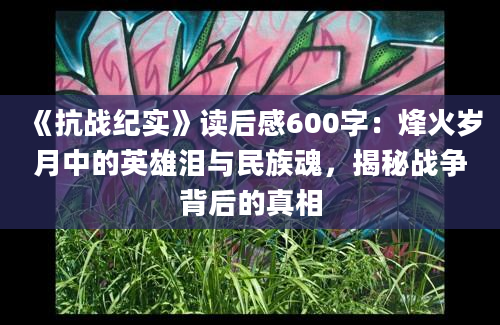 《抗战纪实》读后感600字：烽火岁月中的英雄泪与民族魂，揭秘战争背后的真相